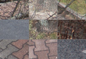 Panasonic Lumix S 50mm F1.8