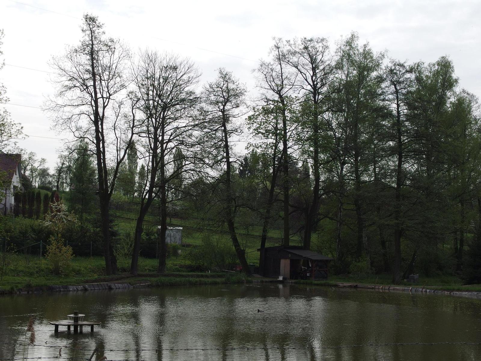 Olympus Stylus XZ-2: jednoduše skvělý