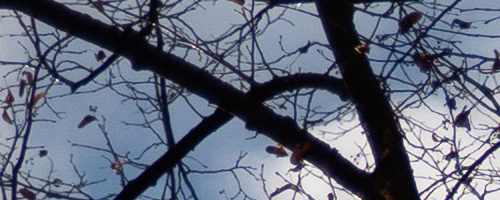 Panasonic Leica DG Vario-Summilux 25-50mm F1.7 ASPH.