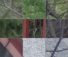 Sony Cyber-shot HX20V: umí snad všechno