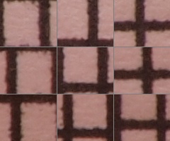 Olympus M.Zuiko Digital 40-150 mm F4-5,6 + nová R verze