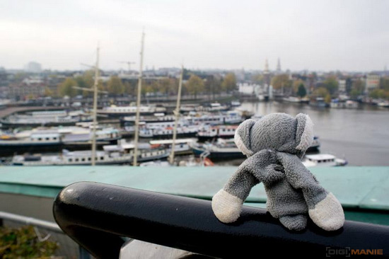 Koala cestuje: Eindhoven a Amsterdam v Holandsku