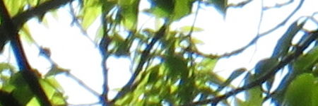 Canon PowerShot SX720 HS: kapesní šmírování