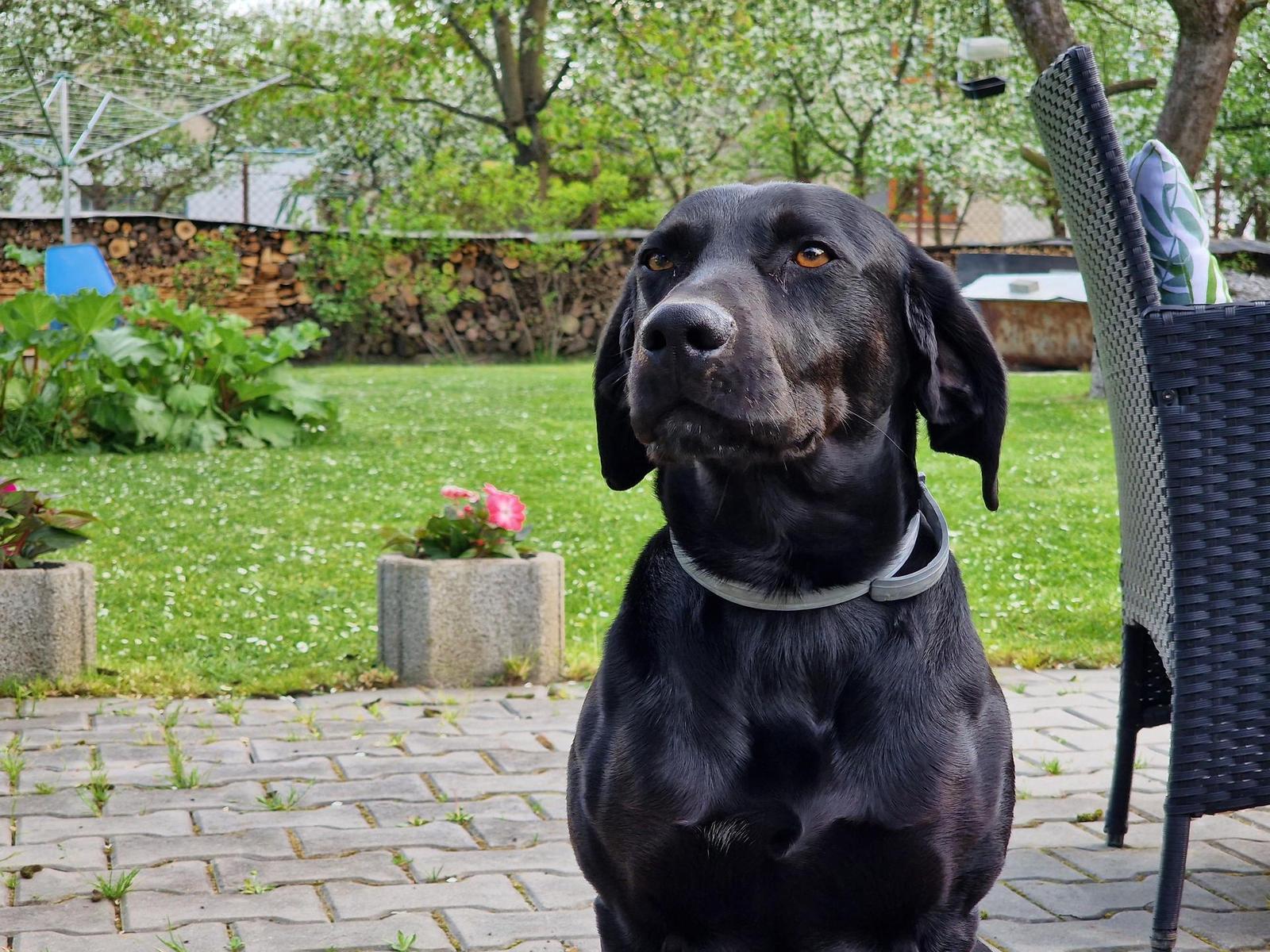 Samsung Galaxy S22 Ultra: pětioký fotografický král?