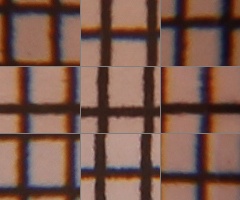 Canon EOS 550D: třídní premiant