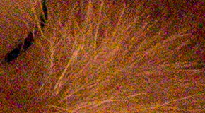 Canon PowerShot G1 X Mark II: významné zlepšení