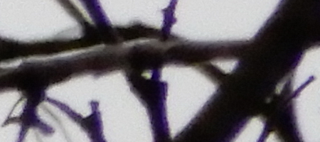 Nikon Coolpix A900: 4K do kapsy