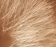 Fujifilm FinePix F300EXR: klame tělem