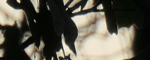 Panasonic Lumix TZ200: kamarád na cesty