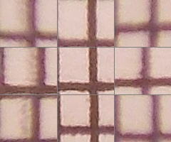 Nikon Coolpix L810: pro nenáročné