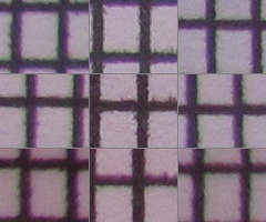 Canon PowerShot SX120 IS: zraje jako víno