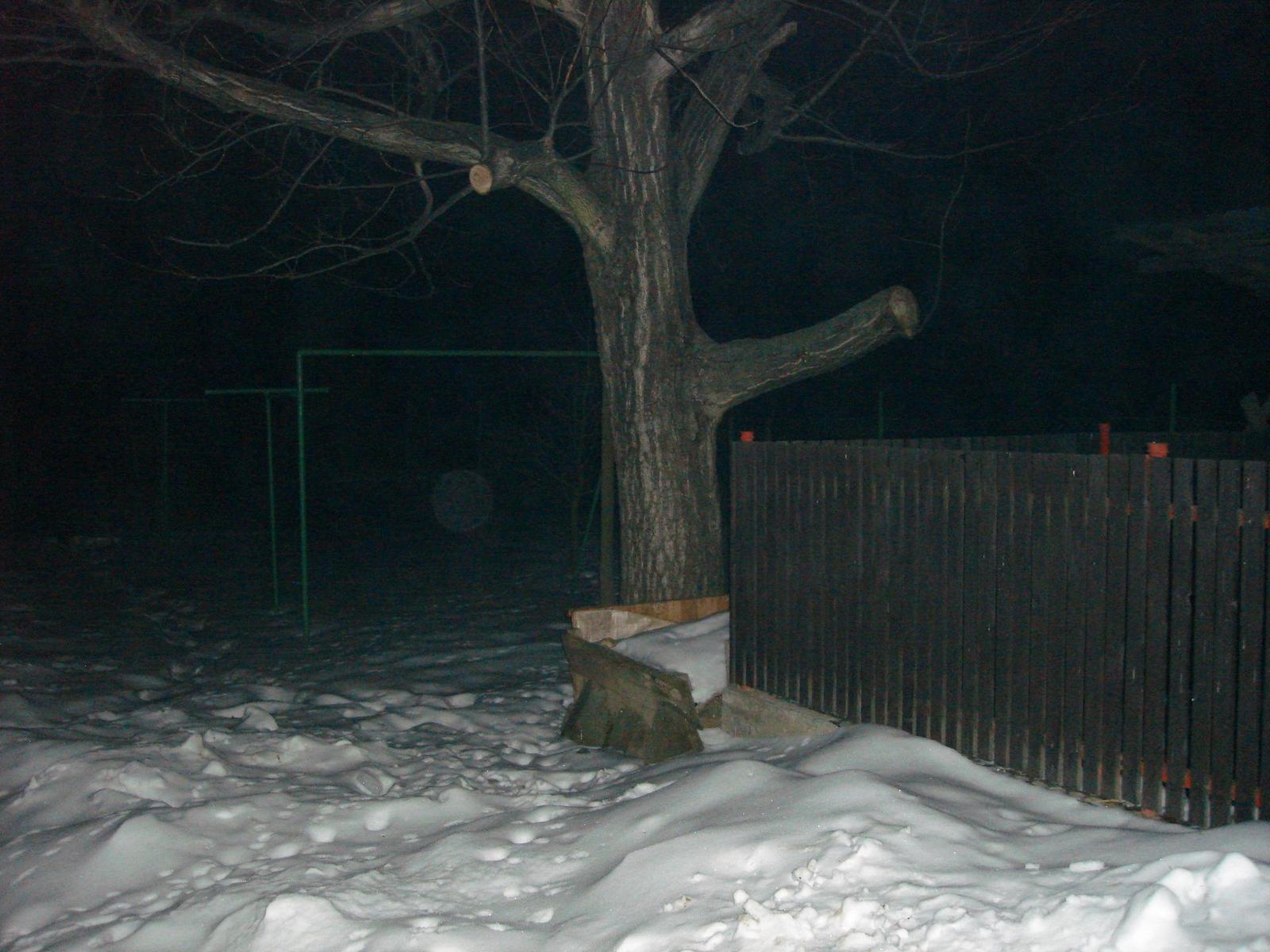 Sony Cyber-shot DSC-N1: Na dosah ruky