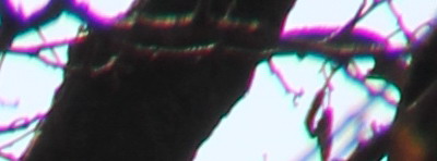 Megatest ultrazoomových objektivů