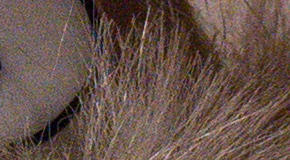 Panasonic Lumix LX100: pozoruhodný profi kompakt