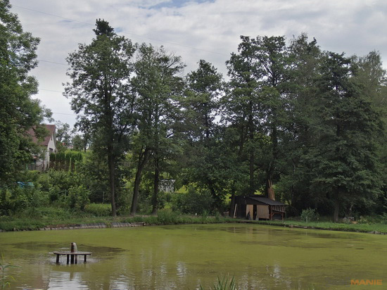 Olympus TG-1 iHS: nejen entomologův sen