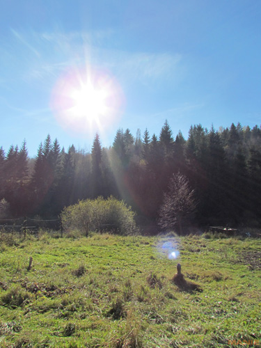 Canon PowerShot SX30 IS: sebevědomý rekordman