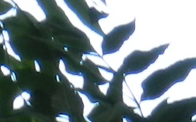 Nikon Coolpix P500: univerzální dalekohled