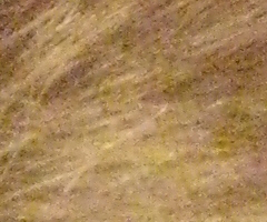 Canon PowerShot A1000 IS: ve stínu předchůdce