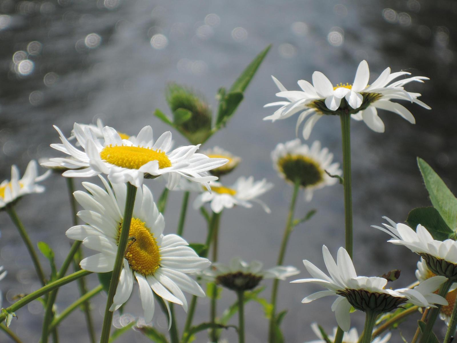 Nikon Coolpix P330: do vyšších sfér