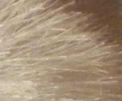 Nikon Coolpix P90: napodruhé mnohem lépe