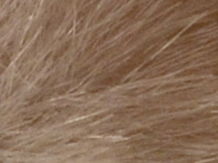 Nikon D3100: základ nabídky DSLR