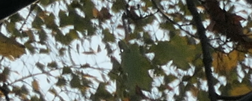 Panasonic Lumix TZ200: kamarád na cesty