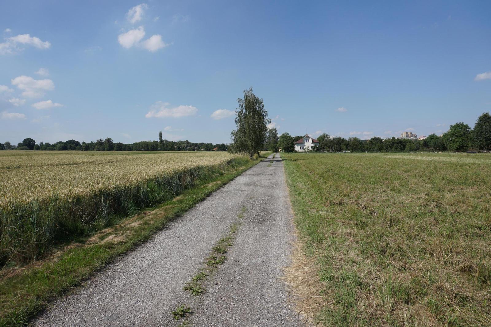 Sony Carl Zeiss Vario-Tessar T* 16-70mm F4 OSS (SEL1670Z)