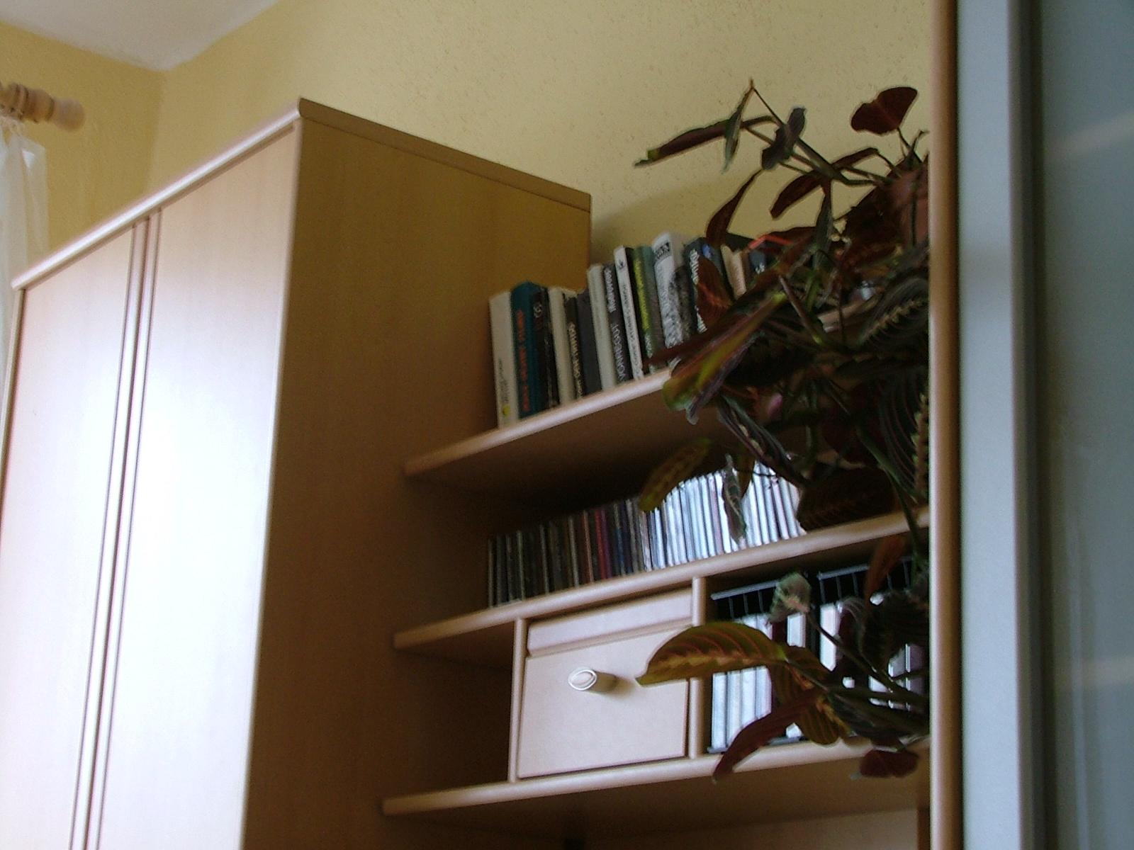 S5000: přitažlivá třímegová EVFka