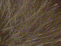 Fujifilm X100: splněný sen