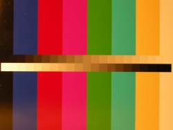 Nikon Coolpix P5100: trpělivý profesionál