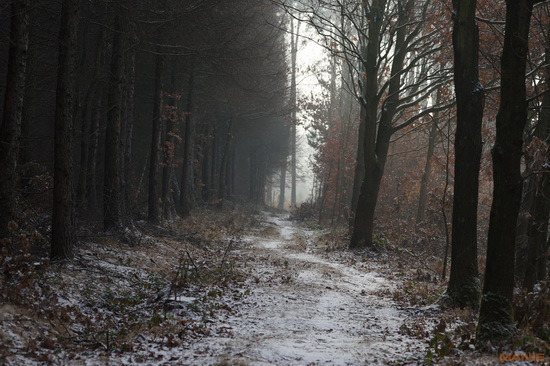 Sony SAL-70400G (70-400mm F4-5,6 SSM G)