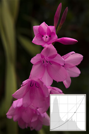 Vše o formátu RAW – 5. díl