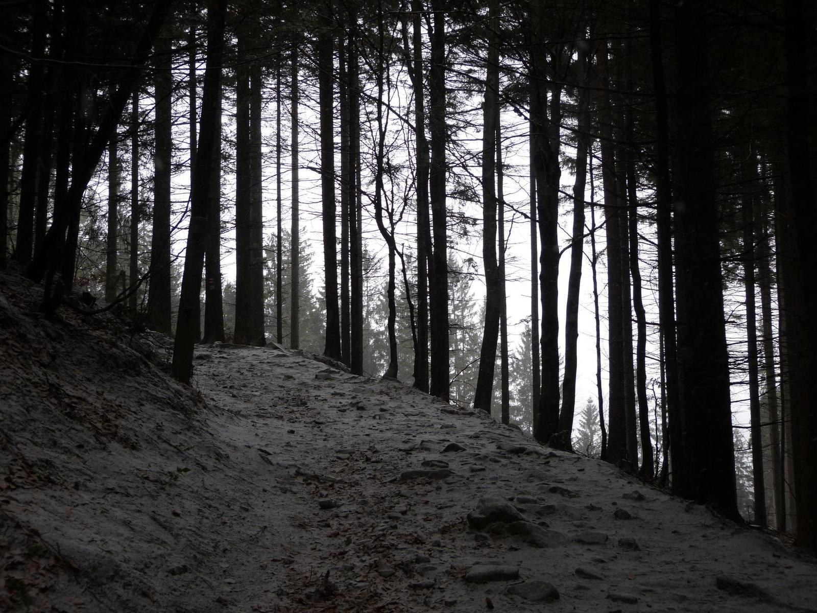 Panasonic Lumix FZ48 a FZ150: legenda pokračuje