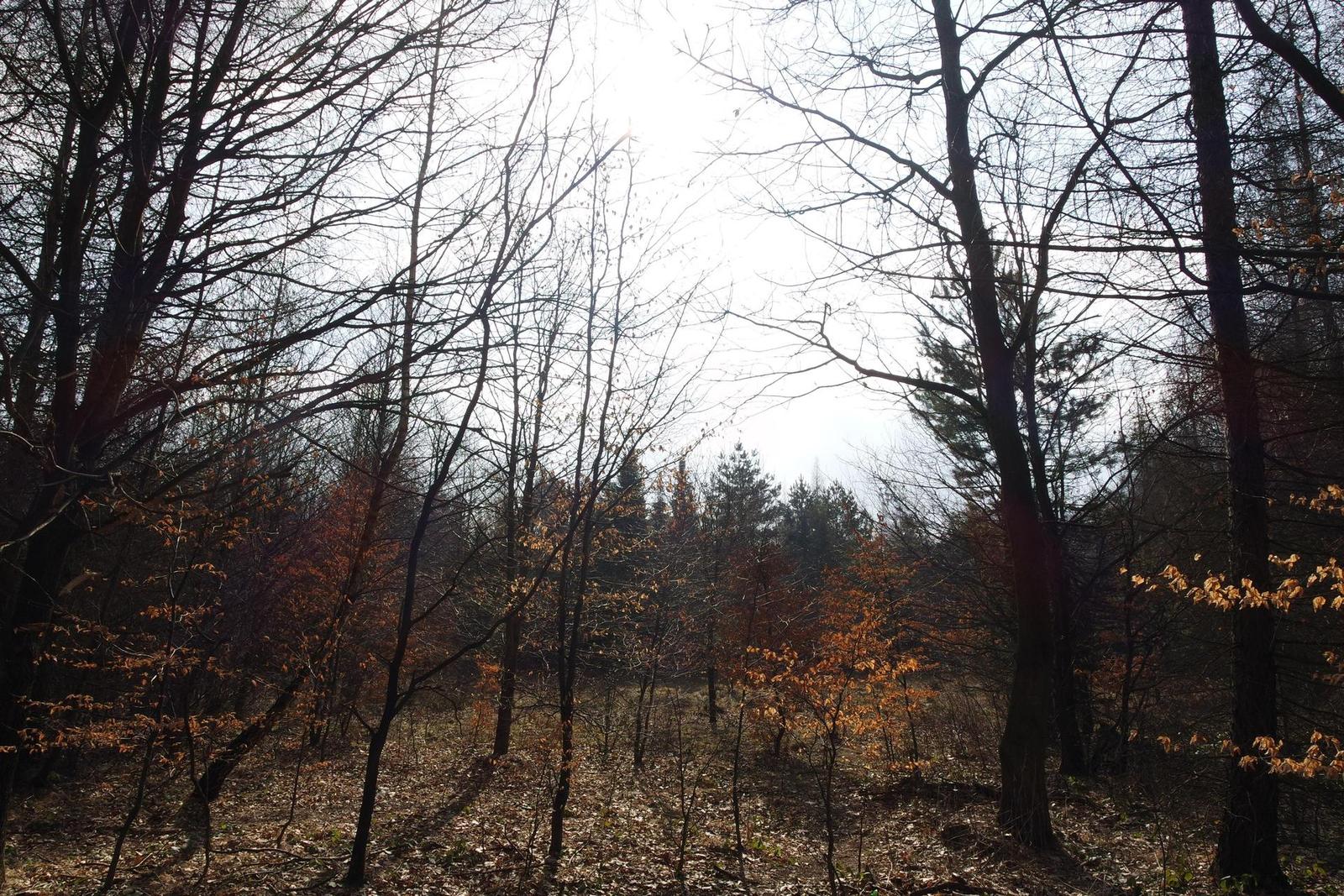 Samsung NX-M 9-27mm F3.5-5.6 OIS