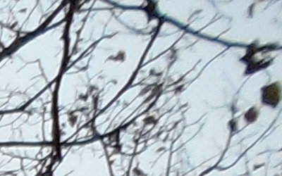 Samsung MV800: pro každý úhel i autoportréty