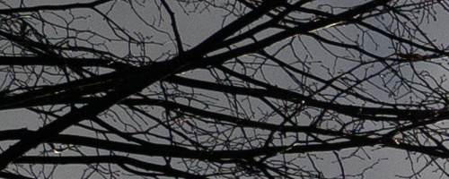 Panasonic Leica DG Vario-Summilux 10-25mm F1.7 ASPH.