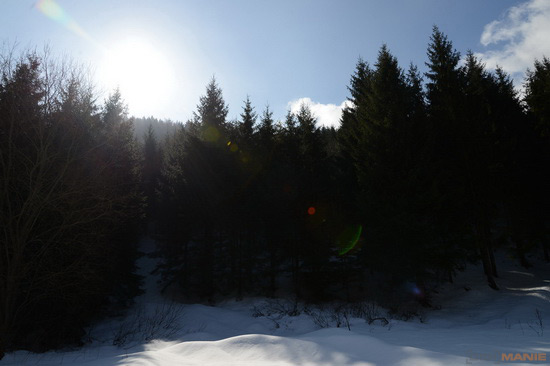 Nikon D600: vynikající vstup do světa full frame