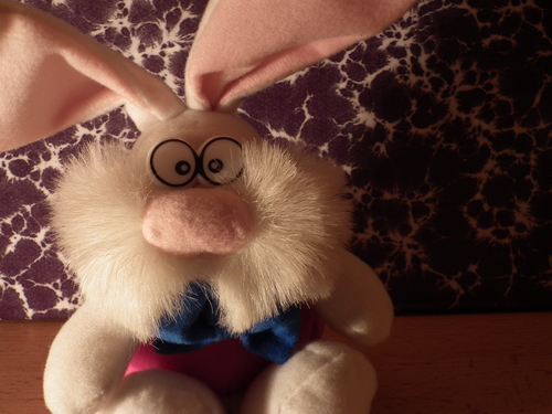 Fujifilm FinePix HS10: ultrazoom roku?