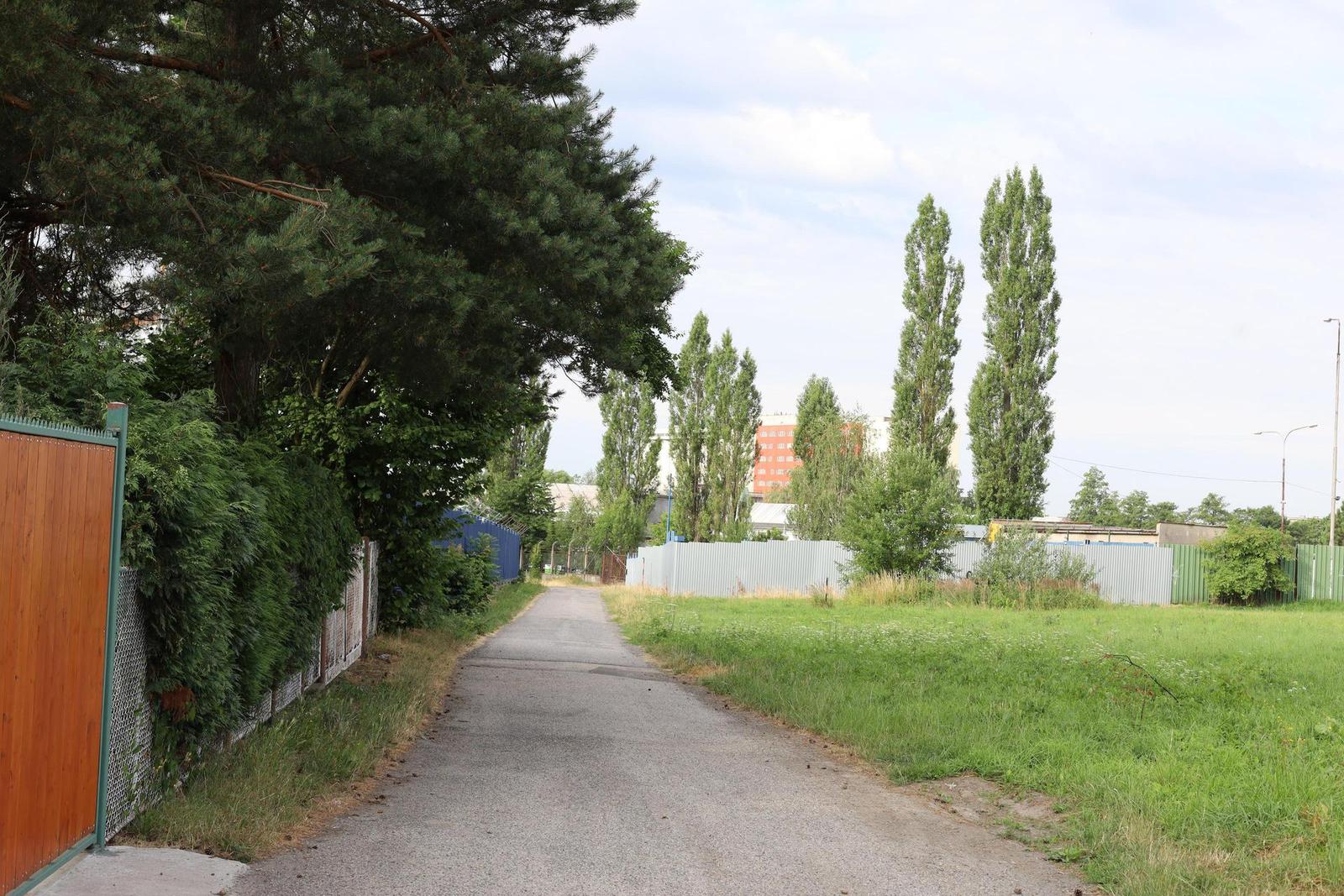 Canon EF 50mm f/1.4 USM