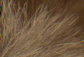 Samsung NX300: spousta kroků vpřed, jeden vzad