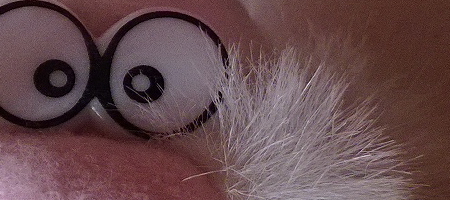 Nokia Lumia 1020 vs. 808 PureView