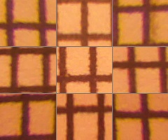 Fujifilm FinePix HS10: ultrazoom roku?