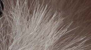 Sony Cyber-shot RX100 III (RX100M3): superSony