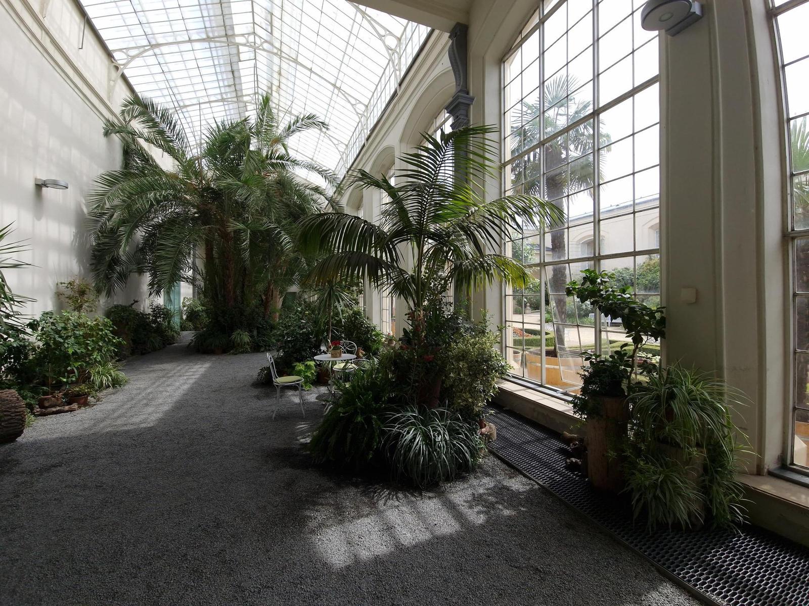 Samsung Galaxy S22 Ultra: pětioký fotografický král?