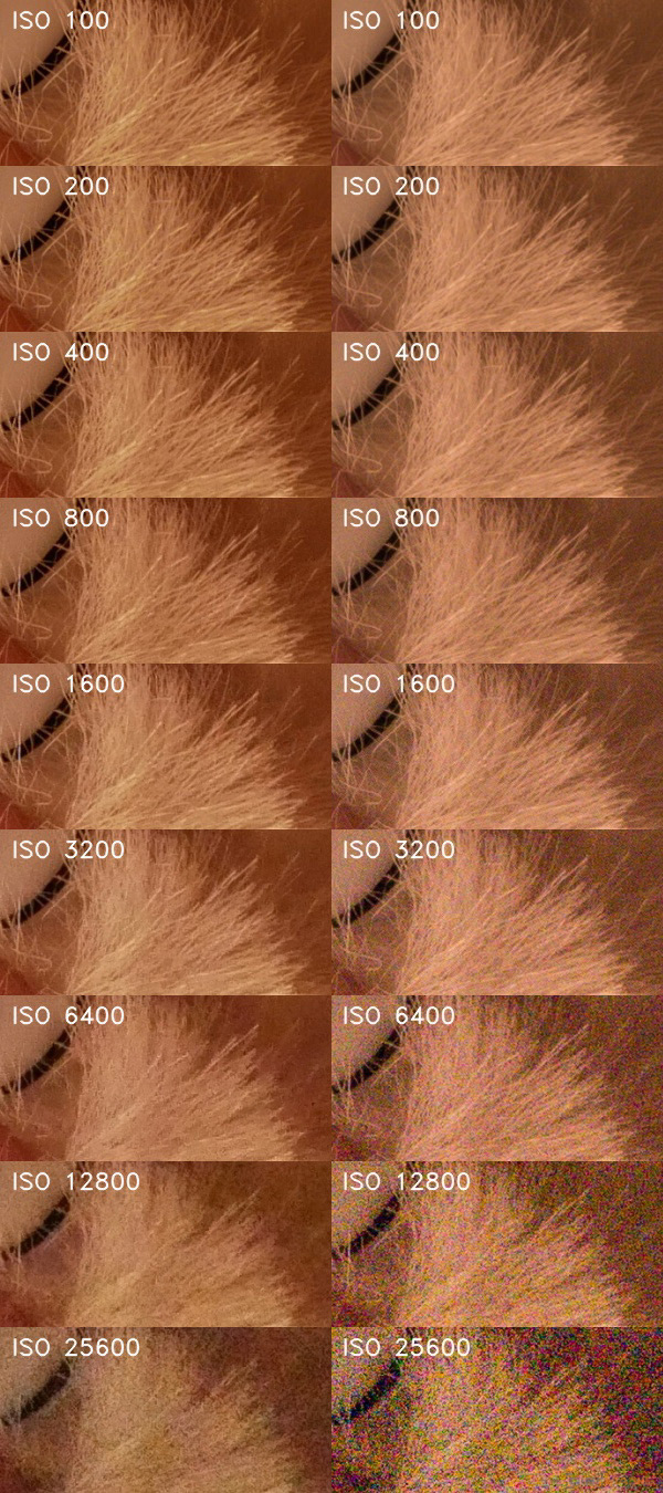 Panasonic Lumix G80: takřka dokonalost