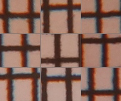 Canon EOS 550D: třídní premiant