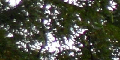 Samsung WB210: dotkněte se 21 milimetrů!