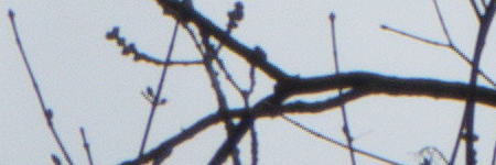 Panasonic Lumix TZ70: krůček k profi ultrazoomu