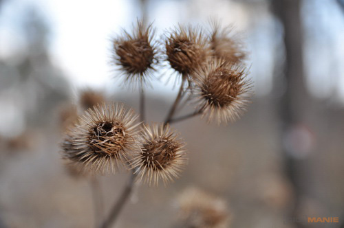 Postačí setový objektiv? Nikon vs. Sigma a Tamron