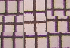 Nikon Coolpix A900: 4K do kapsy